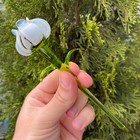 White Glass Tulip Figurine 7    Hand Blown Flower Sculpture Long Stem Vase Decor