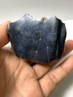 Aceratherium Fossils Tooth Beautiful- From The Late Miocene Rare Amazing Genuine