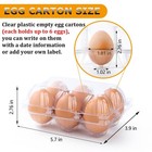 180 Pack Egg Cartons 6 Count  Clear Egg Cartons Cheap Bulk For Chicken Eggs     