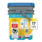  2 Pack  Purina Tidy Cats Instant Action Lightweight Cat Litter  17 Lb 