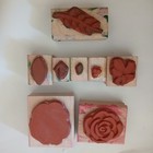 Stampin  Up  Flashy Florals Rubber Stamp Set Of 8 Bold Flowers Leaves Petals