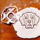 Set Of 2 St Bernard Cookie Cutters - Cute Dog Treats Pet Adoption Vet Bakery