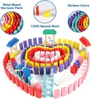1000pcs Wooden Domino Blocks For Kids  Montessori Stem Learning  Racing Game Set