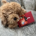 12  New Doodle Plush Fao Schwarz Mix Pups Adopt Pet Mixed Breed Poodle 2022
