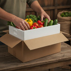 Foam Shipping Box For Seafood Transport  Foam Shipper  Foam Box