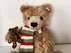 Steiff harrods    archie    Bear Tag  663833  12 6   tall   Nib