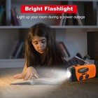 Emergency Hand Crank Radio With Led Flashlight  Am fm Noaa Weather Orange