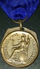 Original Ww2 Italian Uniform Roma Medal Award Insignia Badge Personal Item Rare