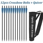 Archery 20  Carbon Crossbow Bolts   or Quiver Arrows 4  Vanes Hunting Shooting