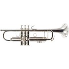 Bach Model 180s37 Stradivarius Professional Bb Trumpet Sn 795151 Open Box