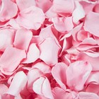 Real Rose Petals Natural Dried Romantic Flower Decorations Wedding Party New