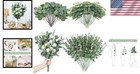 Three Styles Of Fade-resistant Eucalyptus Stems     Perfect For Decor   Weddings