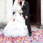 1000 Pcs Artificial Rose Petals Fake Petal Flower Decoration For Rainbow 