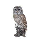 Soreal Brown Barred Owl On Branch   Handcrafted Decorative Bird Statue