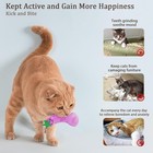 Catnip Cat Toys  Interactive Indoor Cat Nip Toy Kitty Kicker  Dental Kitten Chew