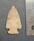Tennessee Arrowhead Kirk Translucent