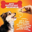 Dog Multivitamin 20 In 1  Dog Vitamins And Supplements  Msm   Dog Food  90 Chews
