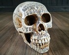 Ouija Skull  Occult Items  Gothic Decor  Engraved Human Skull Replica  Ivory 