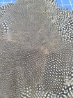 Bl69 Guinea Feathers Body Pelt Skin