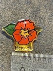Hawaii Souvenir Enamel Lapel Pin 
