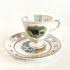 Vintage Yellowstone Park Souvenir Teacup   Saucer Bear Old Faithful Pearlescent