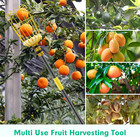 66 Inch Long Handle Fruit Orange Apple Picker Grabber Catcher Tool W big Basket