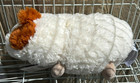 Guinea Pig Sanctuary Warmies Lavender Scent Heat Up Microwave Fluffy Soft Weight