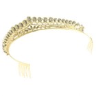 Gold Tone Metal Austrian Crystal Rhinestone Tiara T1601-gcry