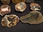  rw  Eight Polished  thunderegg Halves  From Oregon    Each Beautiful