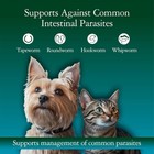 Liquid Dog Cat Dewormer Chicken Flavor 4oz With Dosing Syringe Made Usa