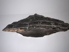 Antique Indian Head Folk Art Burl Wood Carved Native American