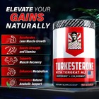 Turkesterone 15 000mg  120 Capsules - Non-gmo   Gluten Free Supplement - Usaaa  