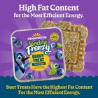 Pennington Feeding Frenzy Berry Treat Suet Cake For Wild Birds 11 75 Oz  16 Pack