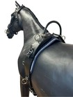 Weissl Leather Lunging Strap With Strap