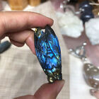 Natural Labradorite Hand Carved The Cicada Quartz Crystal Healing 1pcs  aj