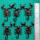6 Real Scorpion Specimen Small Dried Insect Taxidermy Resin Art Oddity Diy Gift