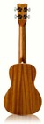 Cordoba 15cm Concert Ukulele