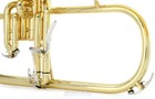 Yamaha Yfh-8310zii Professional Bb Flugelhorn - Clear Lacquer