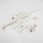 Pea Rl Flute Alto Flute G Tune 16 Closed Hole Keys Professional-hot Sale