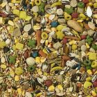 Kaytee Fiesta Mouse And Rat Gourmet Food Supports Dental Health  2-lb Bag