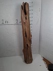 Driftwood Cedar My Taxidermy Terrarium Beach House Decor