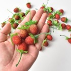 Artificial Strawberries 50pcs Artificial Raspberry Fake Fruit Fake Raspberry    