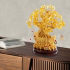 Tabletop Ornament  Money Tree Decoration  Decoration For Wealth  Luck Diy Design