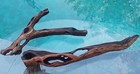 Set Of 2 Large Driftwood Manzanita Aquascape Aquarium Terrarium 