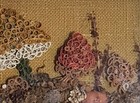 Vintage Quilling 3-d Mushrooms Wall Art 16x7 Shadow Box Wood Framed Under Glass