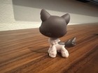 Gen 7 Hasbro Littlest Pet Shop Authentic  240 Husky With Card And Accessory