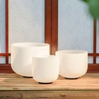 3pcs 432hz White 6 a 8 f 10 c Set Frosted Crystal Singing Bowl Chakra W  Case