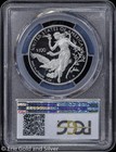 2016-w  100 Proof 1 Oz Platinum Eagle Pcgs Pr 69 Dcam