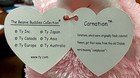 Carnation The Soft Pink Ty Beanie Buddy Cat