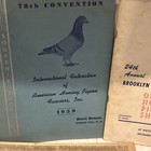 Lot Of American Homing Pigeon 1959